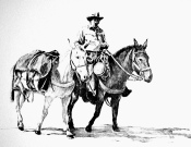 Mule Rider 